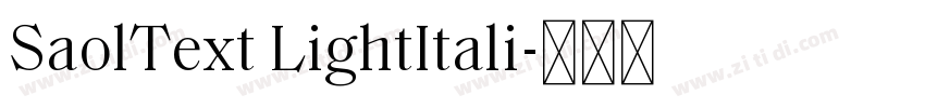 SaolText LightItali字体转换